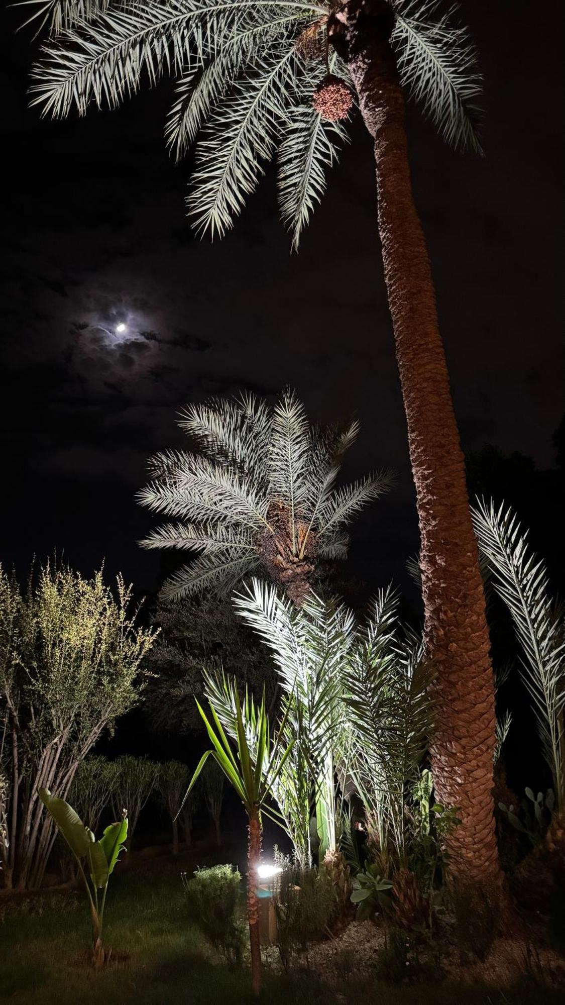 Tres Joli Appart A La Palmeraie Coup De Coeur Marrakesh Eksteriør bilde