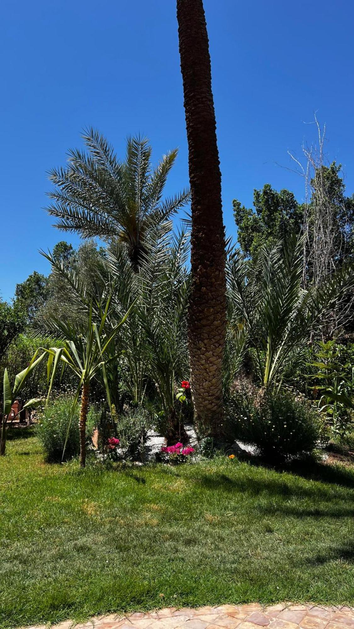 Tres Joli Appart A La Palmeraie Coup De Coeur Marrakesh Eksteriør bilde